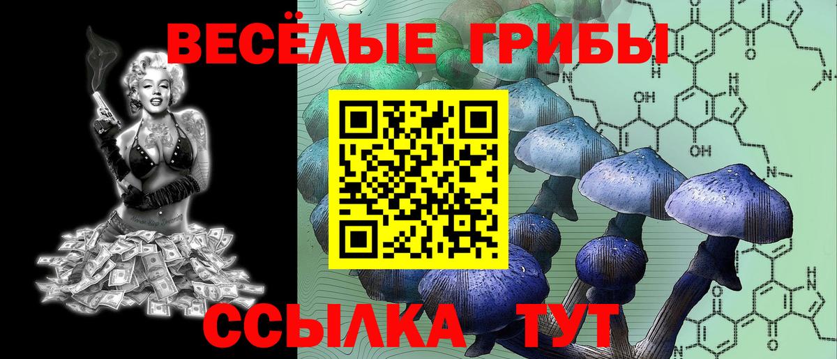 Лсд 25 Избербаш