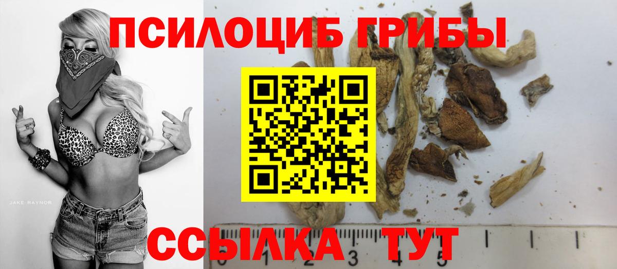 Галлюциногенные грибы Psilocybe  Вход с VPN  Избербаш 